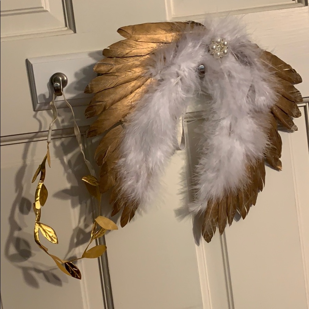 COPY - Newborn Photo Prop Wings and Grecian Headband